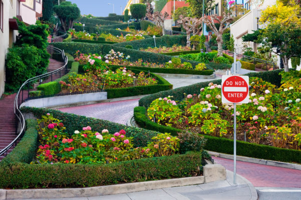 USA Kalifornien San Francisco Park