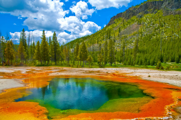 USA Wyoming Yellowstone National Park