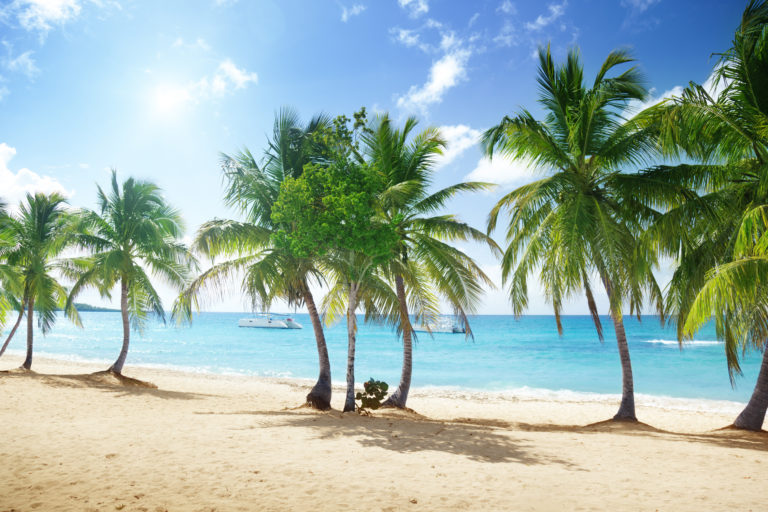 Dom Rep Palmen Strand