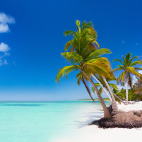Karibiktraum: 14 Tage Dom Rep im 5* All Inclusive Hotel *am Strand* mit Flug & Transfer nur 1.096€
