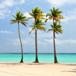 ERROR FARE: 8 Tage Dom Rep im 4* All Inclusive Hotel für unglaubliche 90€