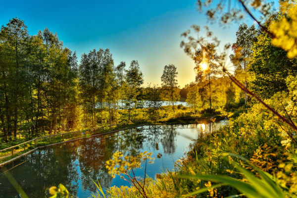 Estland Fluss