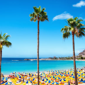 Beste Reisezeit für Gran Canaria: Temperaturen, Klima & Tipps