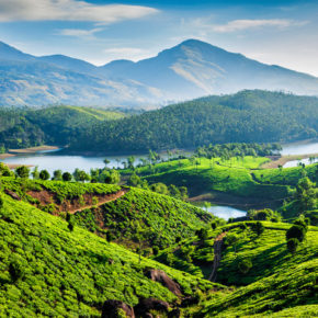 Kerala in Indien Tipps: Die 12 beliebtesten Sehenswürdigkeiten & Aktivitäten