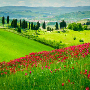 Italien Toskana Wiese