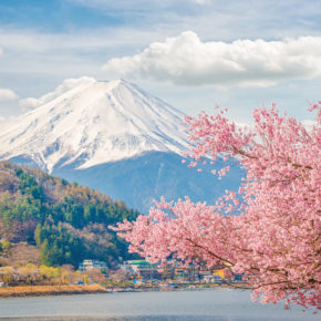 Japan Berg Baum
