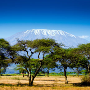 Kenia: 15 Tage nach Nairobi mit Hin- und Rückflug & Gepäck nur 376€