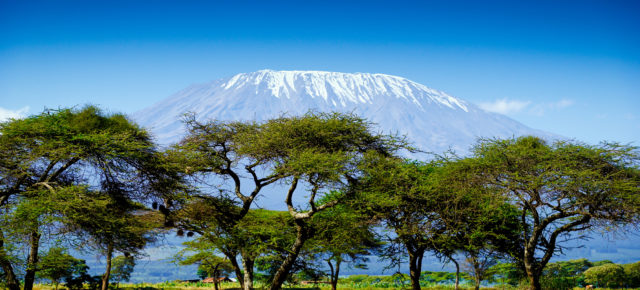 Kenia: 15 Tage nach Nairobi mit Hin- und Rückflug & Gepäck nur 376€