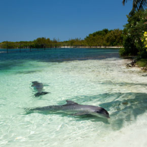 Kuba: 7 Tage im 4* Hotel mit All Inclusive, Flug & Transfer nur 937€ Kuba: 7 Tage im 4* Hotel mit All Inclusive, Flug & Transfer nur 937€