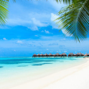 Ab auf die Malediven: 10 Tage mit TOP 3* Hotel & Direktflug nur 502€