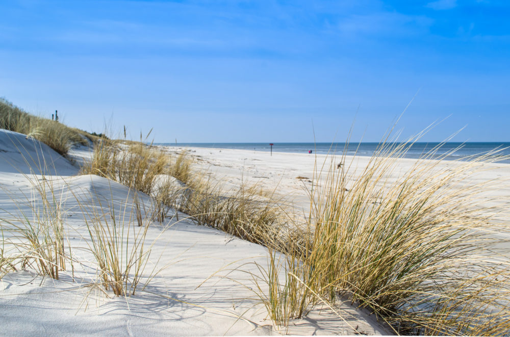 Ostsee Idylle Strand