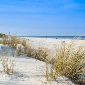 Strandhaus in Holland: 8 Tage direkt an der Nordsee für 77€