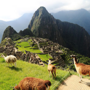 2021 endlich Südamerika entdecken: Hin- & Rückflüge nach Peru nur 404€