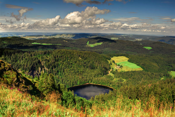 Schwarzwald von oben