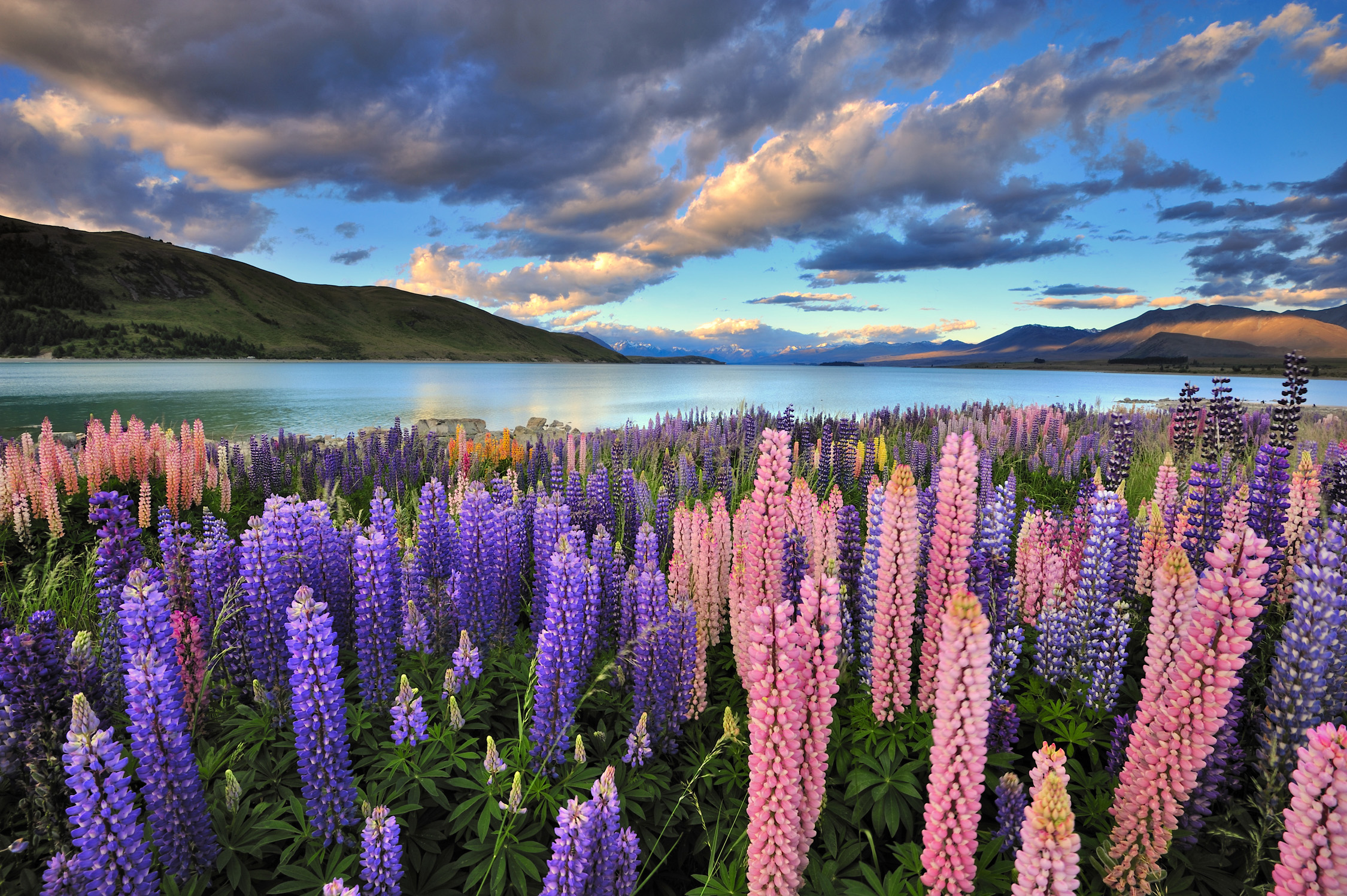 Neuseeland