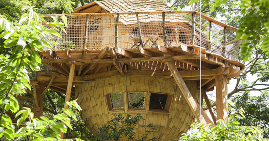 Frankreich: 2 Tage im Luxus-Baumhaus nur 85€