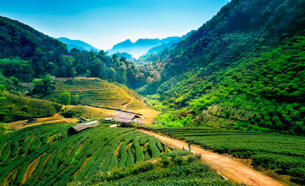 Chiang Mai Berge