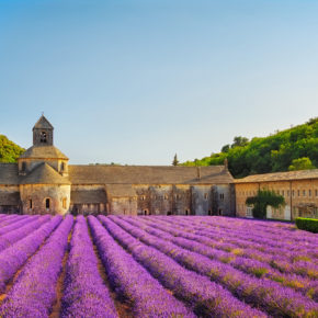 Traum in Lila: 8 Tage Provence zur Lavendelblüte mit Unterkunft & Flug nur 104€