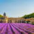 Frankreich Provence