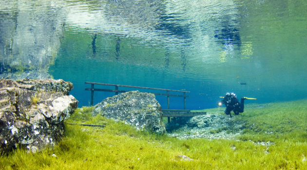 Österreich Steiermark Grüner See Taucher