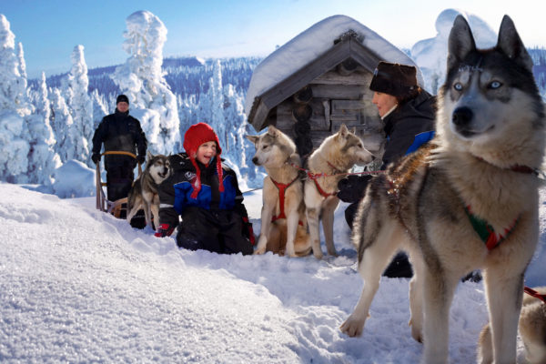 Weihnachtsmanndorf Lappland Husky Tour