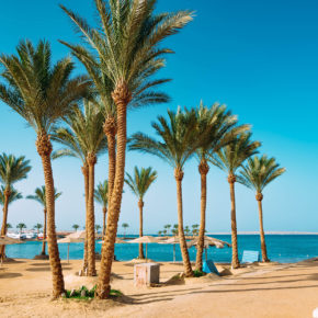 Ab an den Strand: 8 Tage Ägypten im TOP 4* Hotel mit All Inclusive, Flug & Transfer um 368€