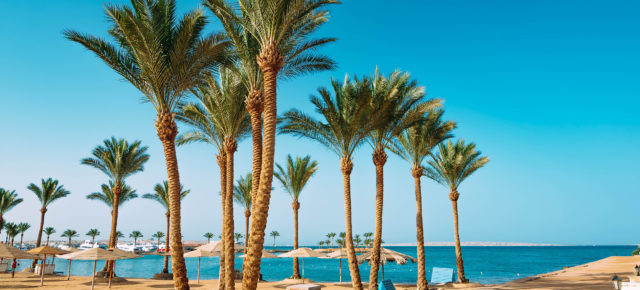Black Week Kracher: 6 Tage Ägypten im TOP 5* TUI MAGIC LIFE Kalawy mit All Inclusive, Flug & Transfer für 561€