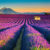 Frankreich Provence Lavendel Berge