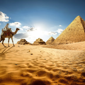 Ägypten Kamel Pyramiden Wüste