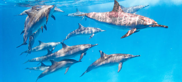 Ägypten: 7 Tage im 4* Hotel in Hurghada mit All Inclusive, Flug & Transfer nur 488€
