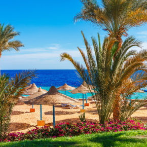 Ägypten Strand Palmen