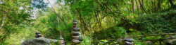 Bayerischer Wald: 5 Tage im 4* Resort mit All Inclusive & Family World-Eintritt ab 430€ ...