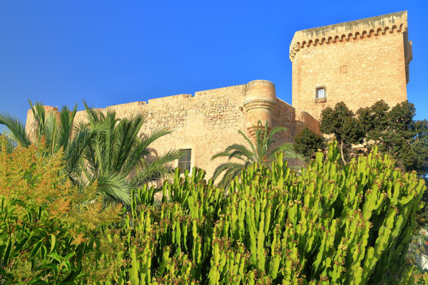 Spanien Costa Blanca Elche Palmenhain