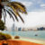 VAE Abu Dhabi Strand Palme