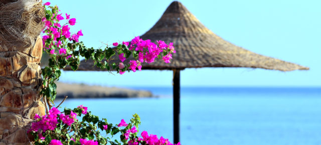 Urlaub in Ägypten: Tipps für die beliebtesten Ferienorte