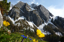 Familienurlaub in Südtirol: 3 Tage im TOP Eco-Studio inkl. Frühstück nur 330€ pro Familie
