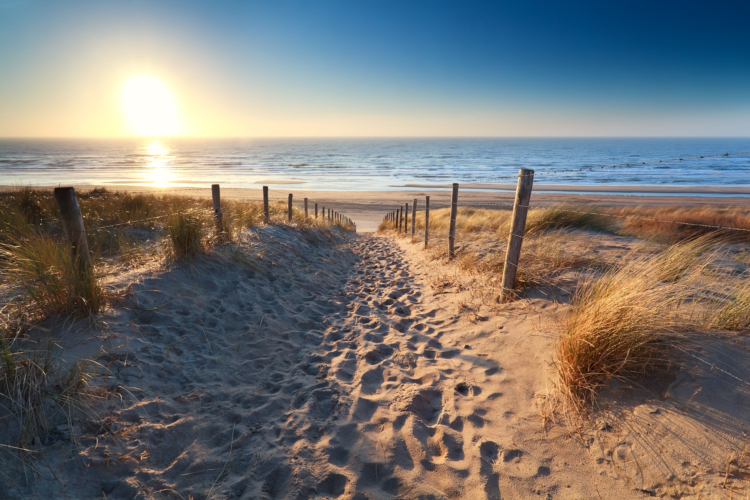 Glamping am Strand Die schönsten Strandhäuser in Holland