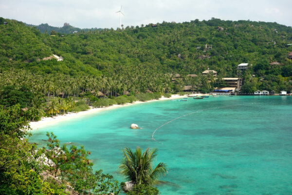 thailand koh tao shark bay