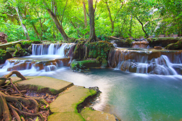 thailand krabi nationalpark