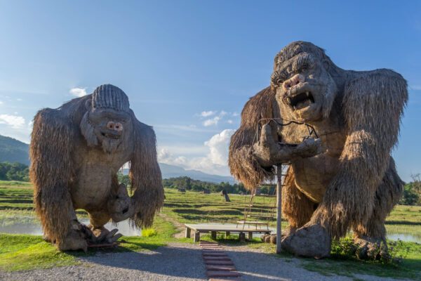 thailand chiang mai king kong