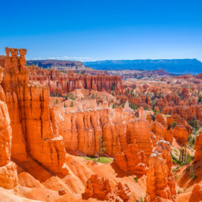 USA Bryce Canyon Landschaft