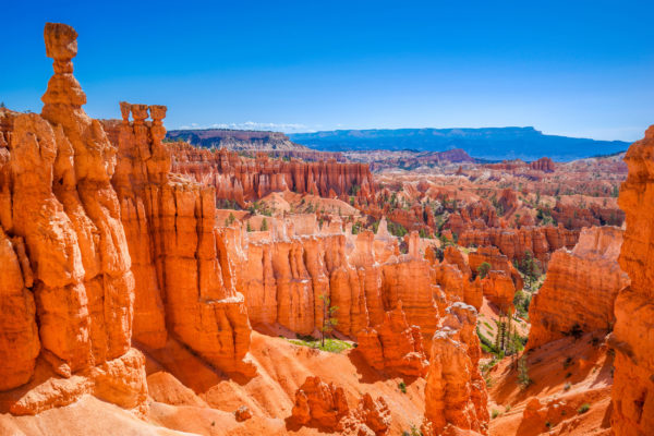 USA Bryce Canyon Landschaft