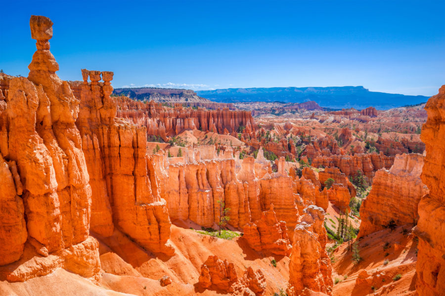 Die Highlights des Bryce Canyon Nationalparks Urlaubstracker.at