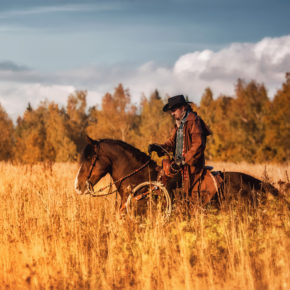 USA Texas Cowboy