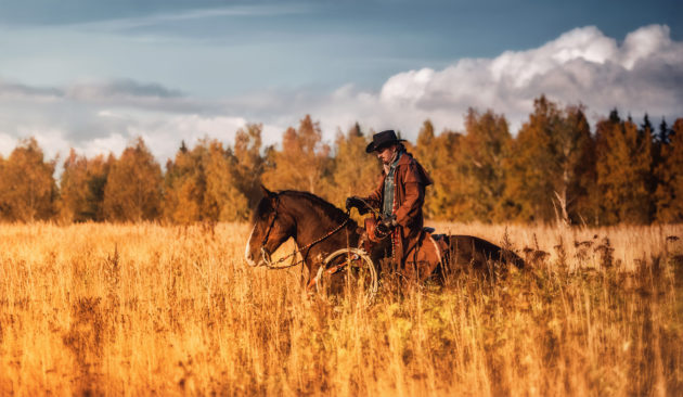 USA Texas Cowboy