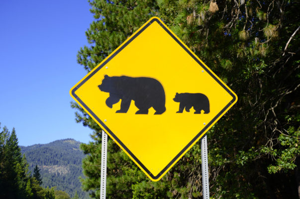 USA Yosemite Baeren Schild