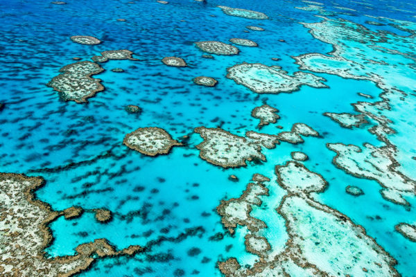 Australien Great Barrier Reef Oben