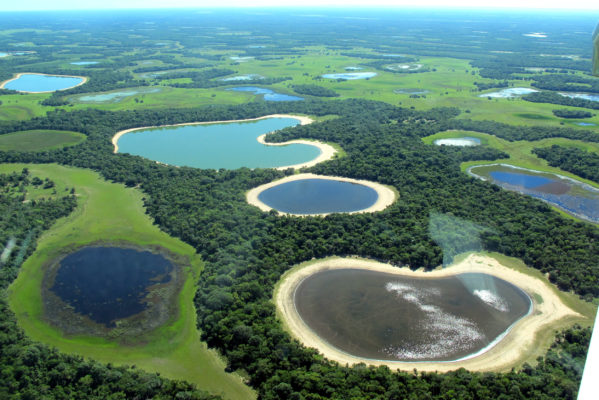 Brasilien Pantanal