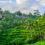 Luxusurlaub auf Bali: 10 Tage im fancy TOP 4* Hotel mit Infinity-Pool inkl. Frühstück