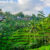 Indonesien Bali Ubud Taggallalang Terrasse